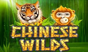 Hình ảnh trò chơi Chinese Wilds